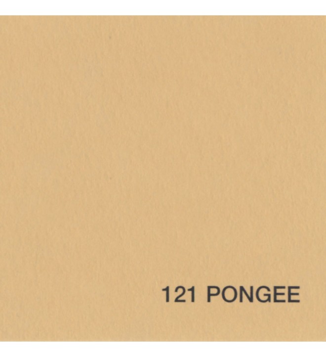 Condor foto BD papir ozadje - PONGEE 121 - 1,35x11m