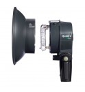 Elinchrom Quadra Pro Head 