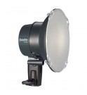 Elinchrom Quadra Pro Head 