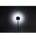 Elinchrom Elinchrom FS30 Fresnel Spot 30 Head