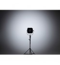 Elinchrom Elinchrom FS30 Fresnel Spot 30 Head