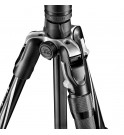 Manfrotto Befree 2N1 Aluminium tripod lever, monopod included