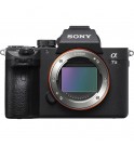 Sony α7 III + FE 24-105mm F4 G OSS