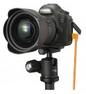 TetherPro USB 3.0 to Micro-B Right Angle