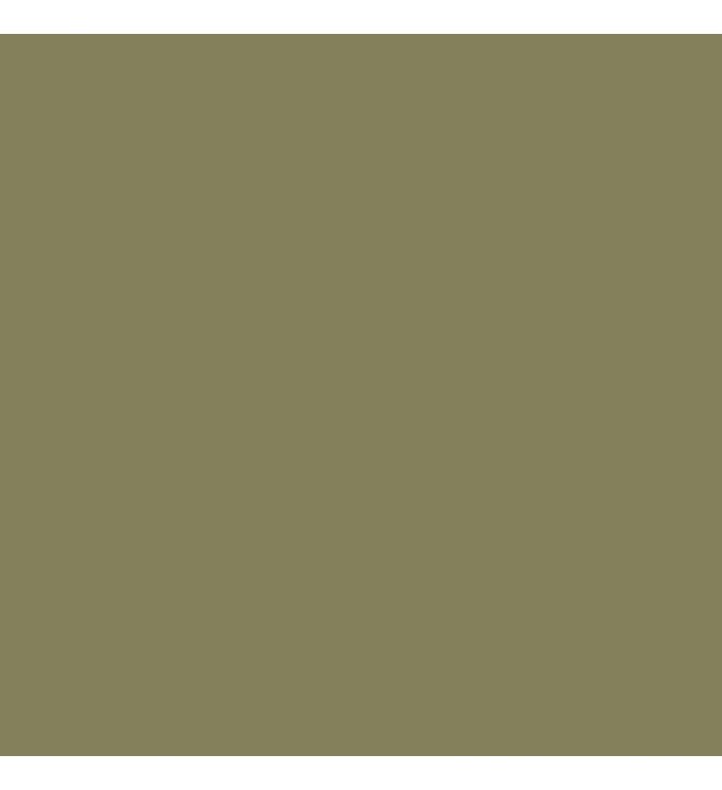 BD papir ozadje - CACTUS 144 - 2,72x11m