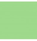 BD papir ozadje - SPRING GREEN 174 - 2,72x11m