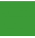 BD papir ozadje - VERI GREEN (Chromakey Green) 132 - 2,72x11m