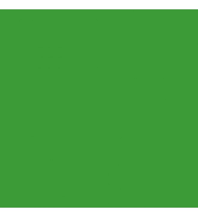 BD papir ozadje - VERI GREEN (Chromakey Green) 132 - 2,72x11m