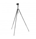 Gitzo Légende - Traveler Tripod Kit