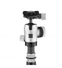 Gitzo Légende - Traveler Tripod Kit
