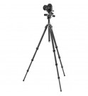 Gitzo 3-Way-Fluid-Head