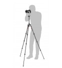 Manfrotto Befree Advanced Carbon Fibre Travel Tripod twist, ball head