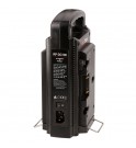 Hedbox RP-DC100A Gold Mount Dual Battery Charger