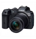 Canon EOS R7 + RF-S 18-150mm IS STM