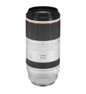 Canon RF 100-500mm f/4.5-7.1 L IS USM