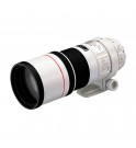  Canon EF 300mm f/4L IS USM 