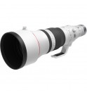 Canon RF 600mm f/4 L IS USM