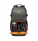 Lowepro Truckee BP 250