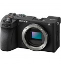 Sony α6700 + E 18-135mm f/3.5-5.6 OSS