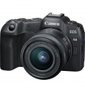 Canon EOS R8 + RF 24-50mm f/4.5-6.3 IS STM