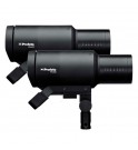 Profoto Pro-D3 750 Duo Kit