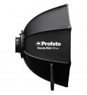 Profoto Beauty Dish Silver