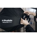 Profoto Beauty Dish Silver