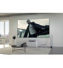 Leica Screen | 100"