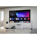 Leica Screen | 100"