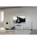 Leica Screen | 120"