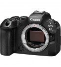 Canon EOS R6 Mark III + RF 24-105mm f/4-7,1 IS STM