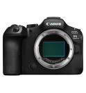 Canon EOS R6 Mark III + RF 24-105mm f/4-7,1 IS STM