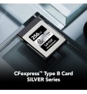 Lexar® Professional CFexpress™ Type B card 256GB Silver Serie (R:1750/W:1300MB/s)