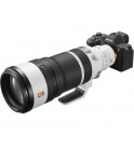 Sony FE 100-400mm f/4.5 GM OSS (Sony E)