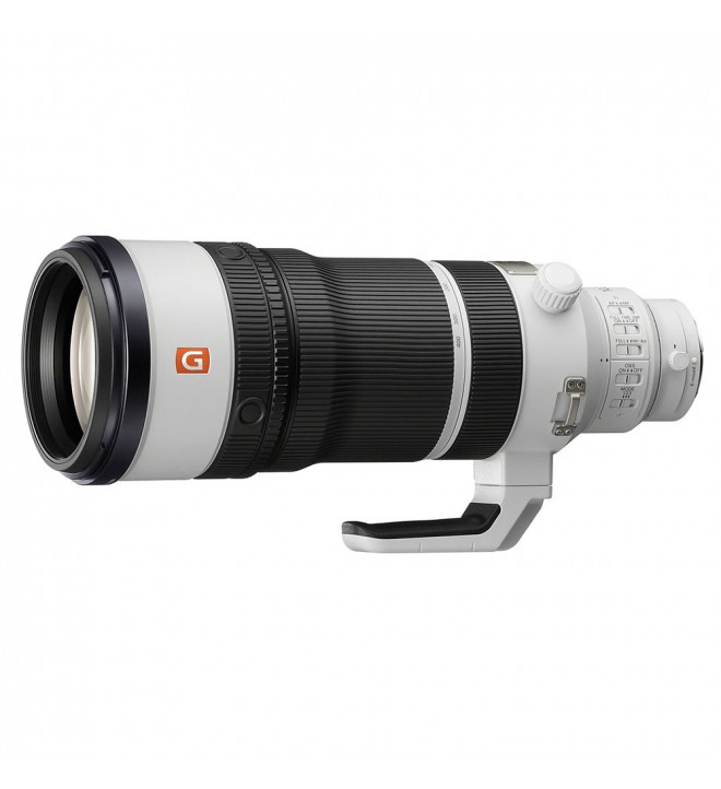 Sony FE 100-400mm f/4.5 GM OSS (Sony E)