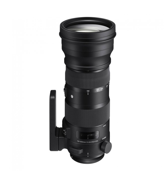 Sigma 150-600mm F5-6.3 DG OS HSM | S