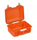 Explorer case 3317 E - prazen