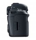 CANON 5D Mk IV body